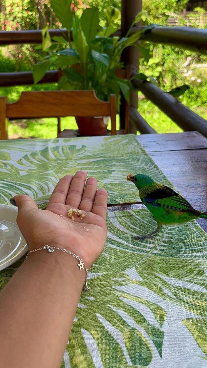 Chalés Sinbad Ilhabela Kültér fotó